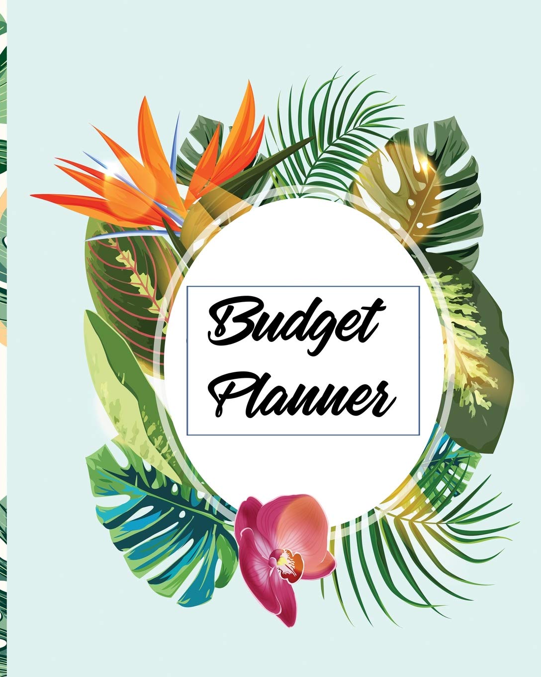 Budget Planner: A Budget Book And Expense Tracker To Help You Spend Well