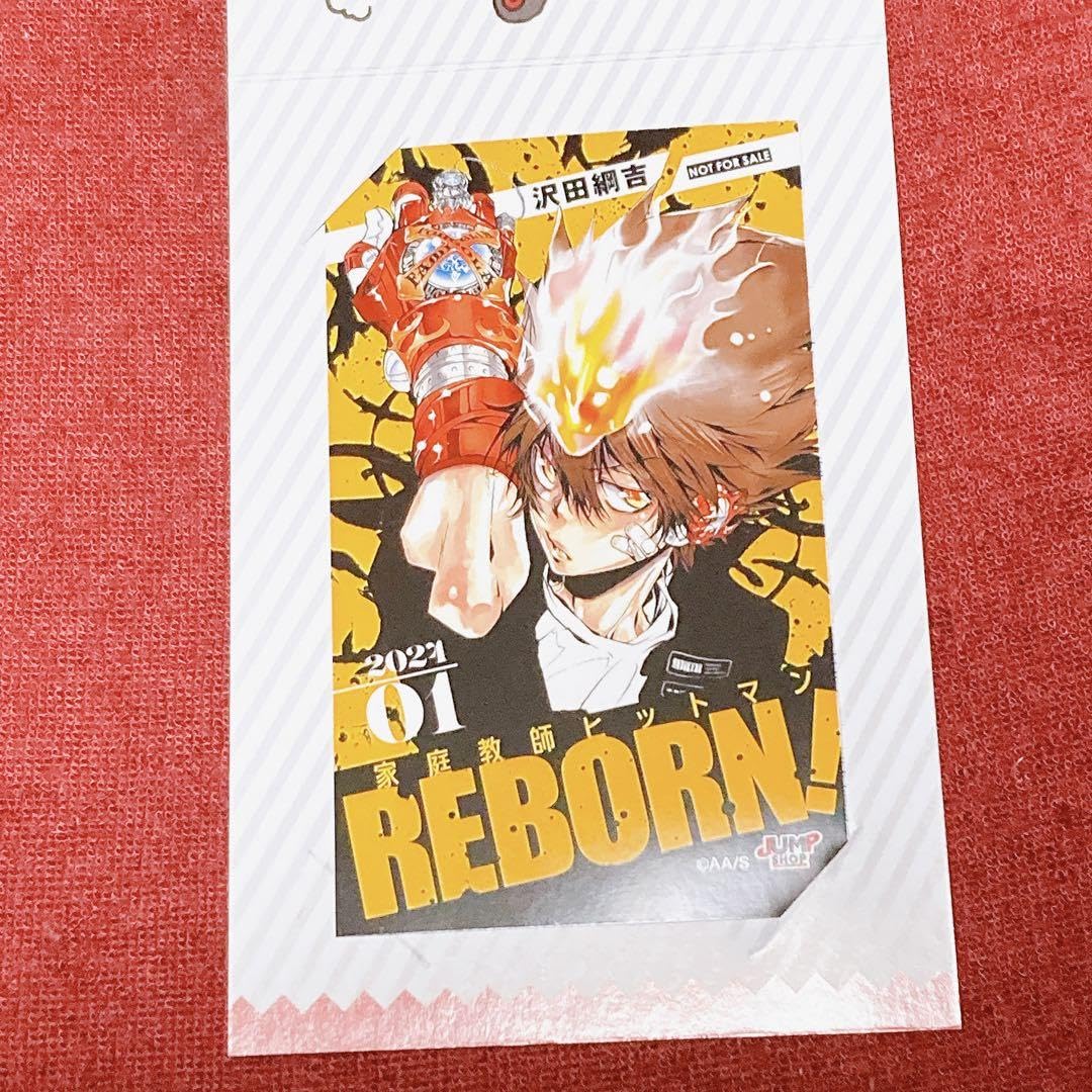 Amazon.co.jp: 家庭教師ヒットマンREBORN リボーン 沢田綱吉 ボンゴレ