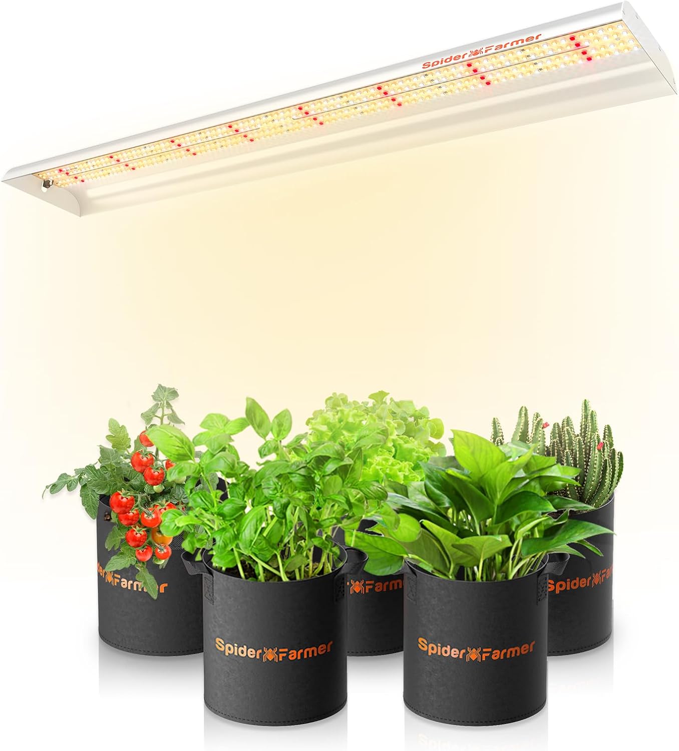 SPIDER FARMER SF600 LED Grow Light 2ftx4ft Coverage Sunlike Full