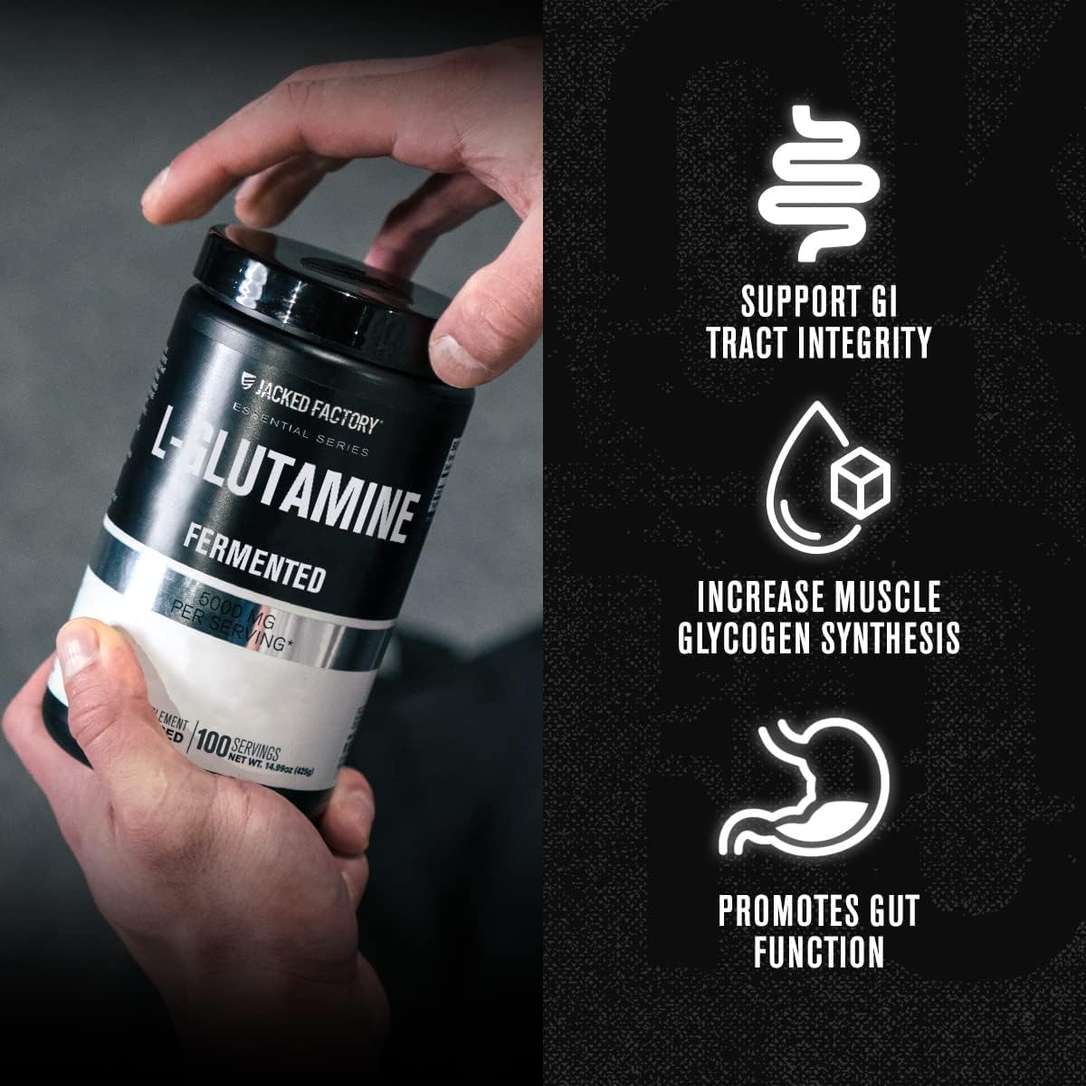Jacked Factory Creatine Monohydrate Powder 425g, 85 SV & L-Glutamine Supplement 500g, 100 SV - No Artficial Fillers, Unflavored