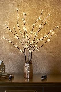 EAMBRITE 3PK 76cm Home Decorative Twig Lights Garden Stake Branch Lights with 60 Warm White LEDs Mains Powered Lighted Branches for Floor Vases Spring Xmas Decor Outdoor and Indoor