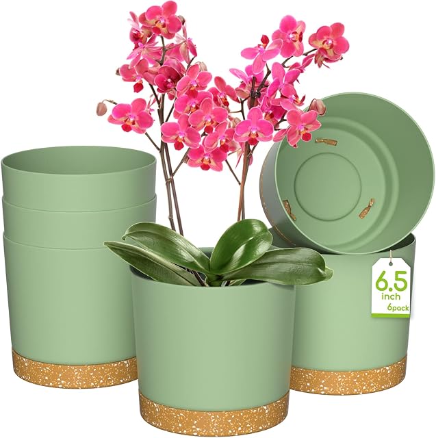 ZMTECH Flower Pot, 6 Indoor Plant Pots with Holes and Saucer, 16.5CM Plastic Planters Nursery Seeding Pot with Tray for Indoor Outdoor Bonsai Plants, Aloe Cactus Tomatoes Potatoes - Green