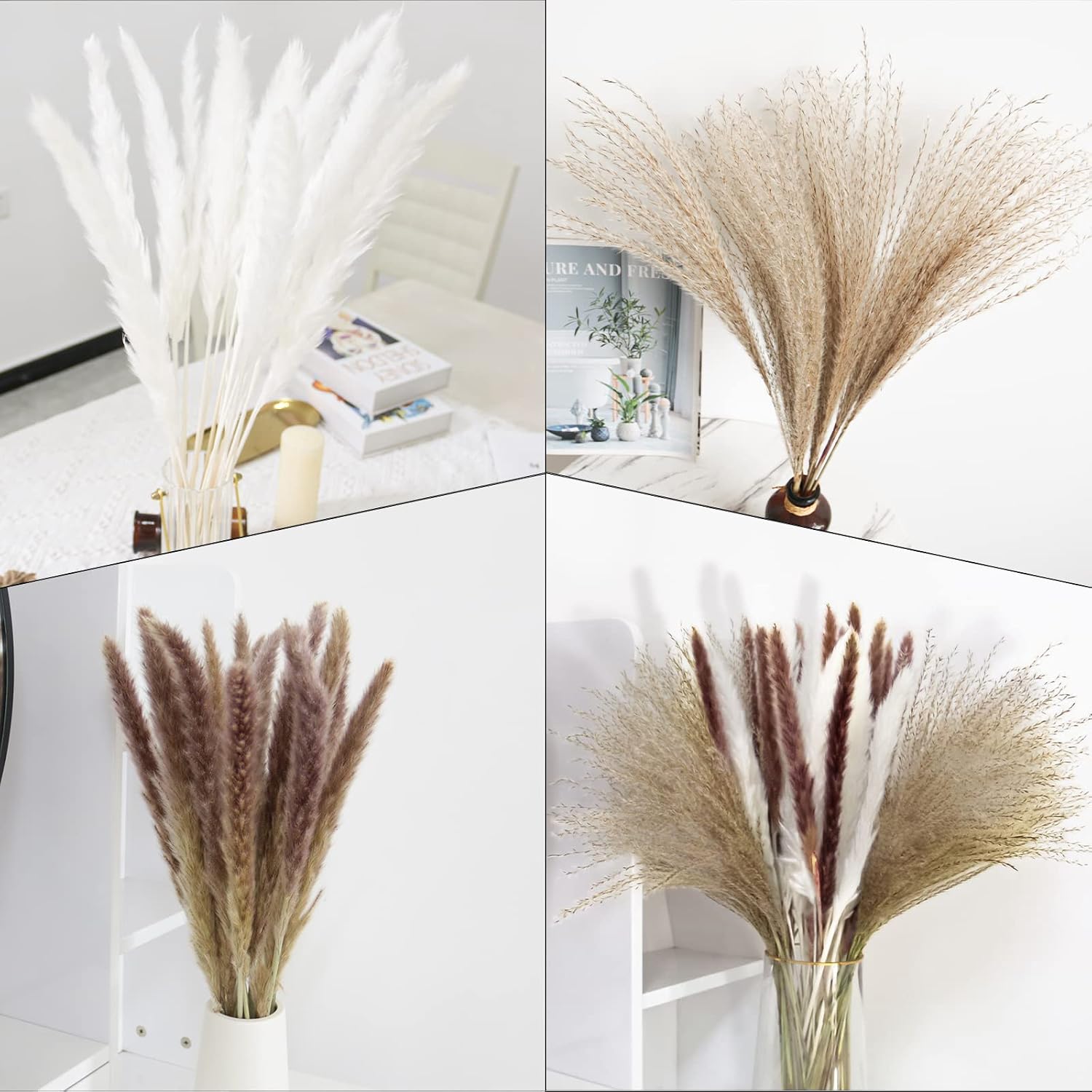 Dried Pampas Grass, 60 Pcs Natural Pampas Grass with 20 Pcs White Pampas & 20 Pcs Brown Pampas & 20 Pcs Reed Grass for Flower Arrangements Home Decor