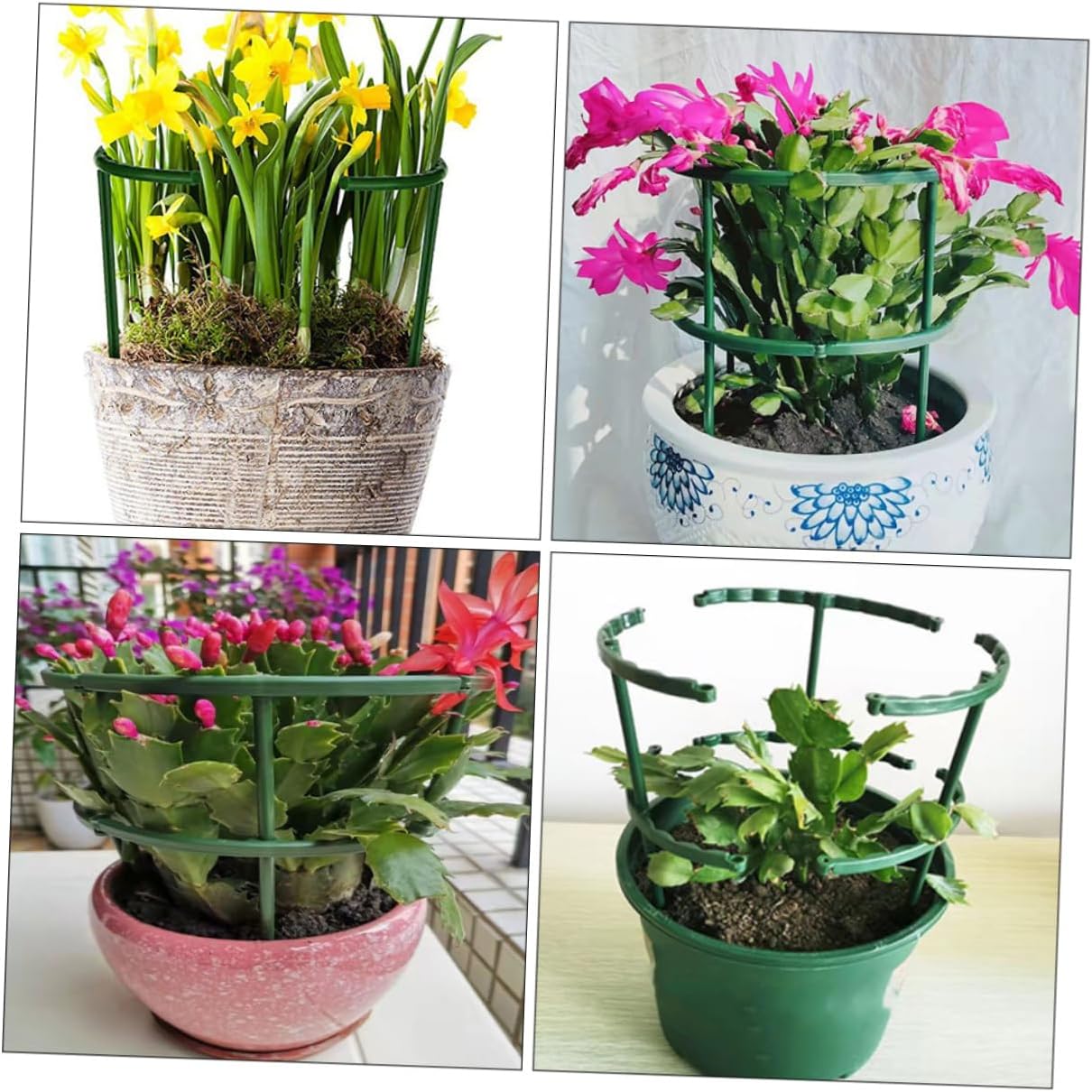 Kisangel 30pcs Garden Trellis Plant Support Sticks for Climbing Tomatoes Roses Morning Glories