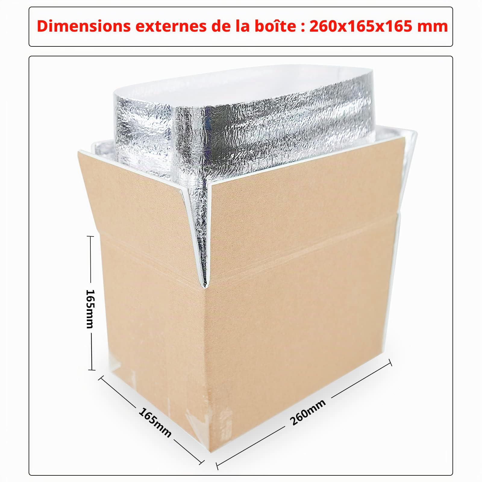 Thermo Chill Carton à double isolation avec doublure de sac isotherme en aluminium, boîte d'expédition réfrigérée pour aliments surgelés, envoi de colis, envoi postal 250x155x140 mm (2 pièces)