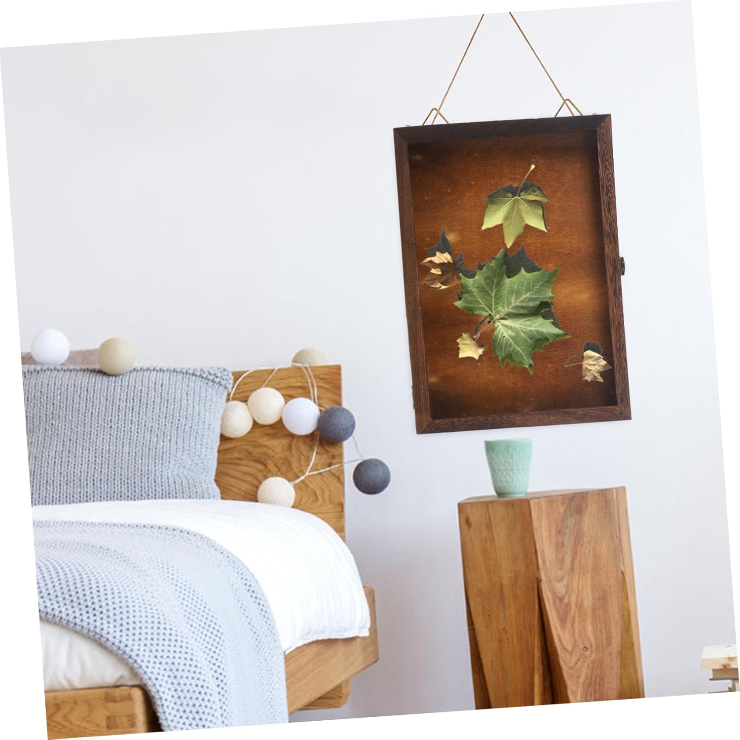 Specimen Frame Case Collection Box Dried Flower Storage Case Vintage Specimen Box