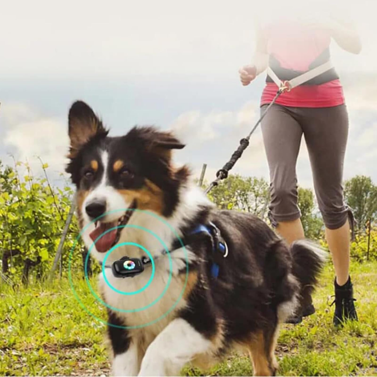 Sangle de Collier GPS 4G lumière LED BDS traqueur de positionnement GPS pour localisateur d'animaux pour Chats et Chiens