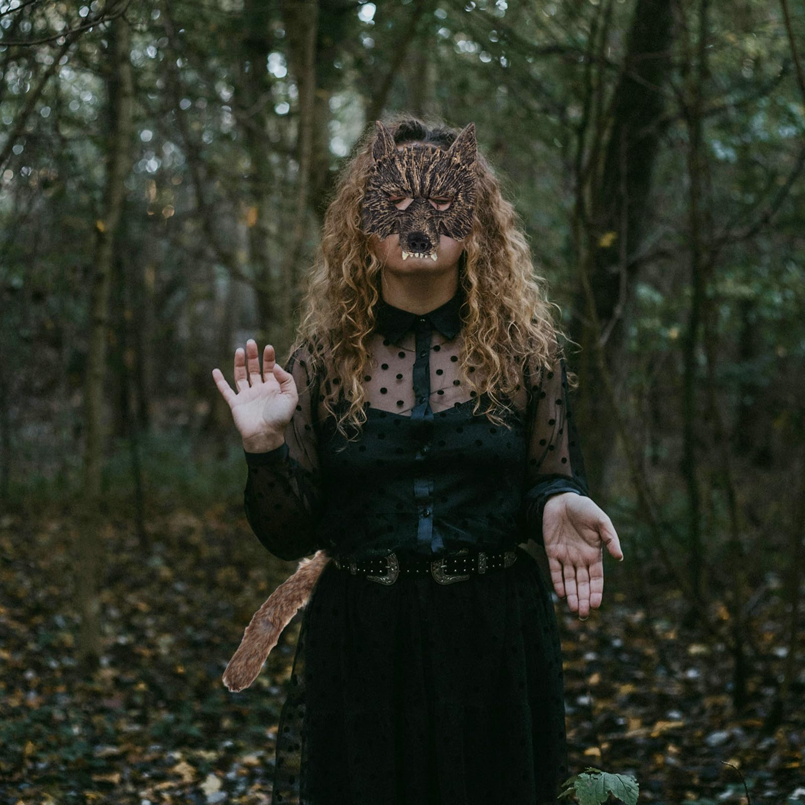 IMIKEYA 5 Pièces Demi-masque de Loup Doré, Lot de Set de Accessoires de Déguisement