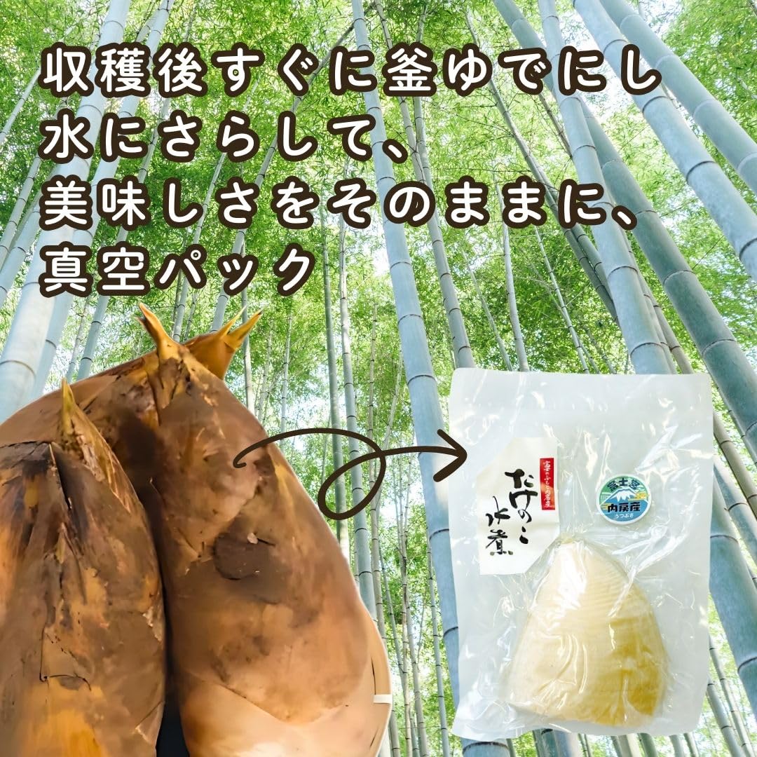 Amazon.co.jp: たけのこ 筍 水煮 新物 真空パック 300g 柔らかくえぐみ