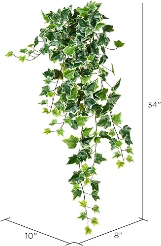 Miniatura 2 de Vickerman Everyday - Arbusto colgante de hiedra artificial varigada de 34 pulgadas, arbusto de plantas colgantes de imitación para interiores,