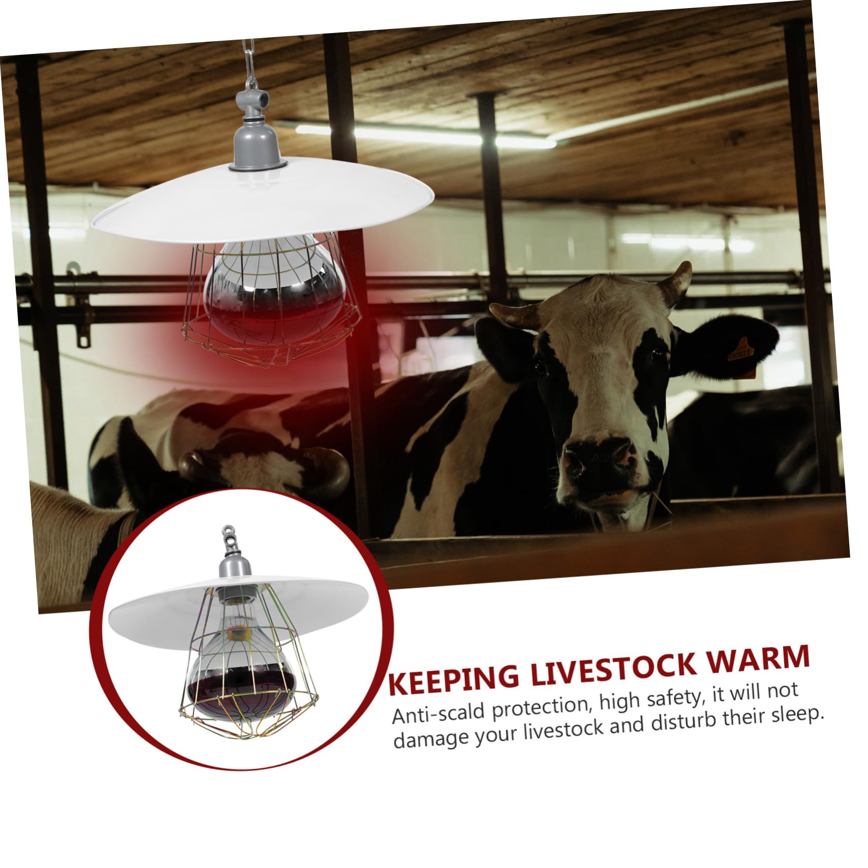 Mikikit Lampada Riscaldante per Rettili e Bestiame Set 4 in 1 Luce Rossa Protezione a Rete in Metallo, 250w Forniture Colore Casuale per Gabbie di Piccoli Maiali e Animali Domestici