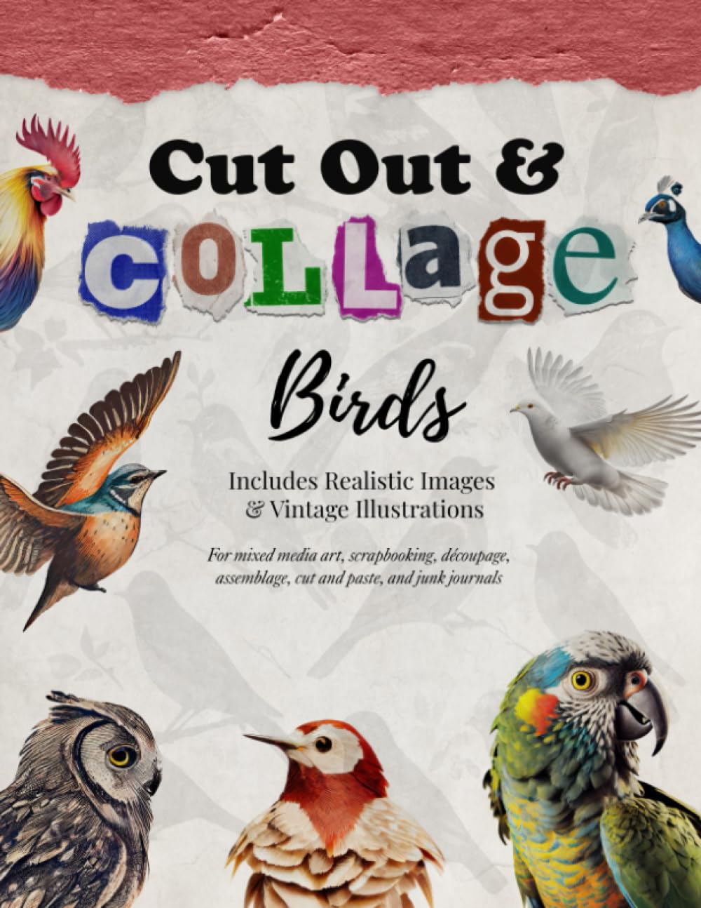 Cut Out and Collage -- Birds -- Includes Realistic Images and Vintage Illustrations: For mixed media art, scrapbooking, decoupage, assemblage, cut and paste, and junk journals (Collage Artistry)