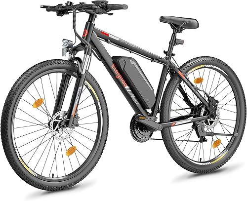 Eleglide M2 E-Bike 29 Zoll