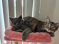 Review Image by Bailey Bailey