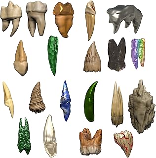 D&D Replicas of The Realms: Teeth of Dahlver-NAR Artifact