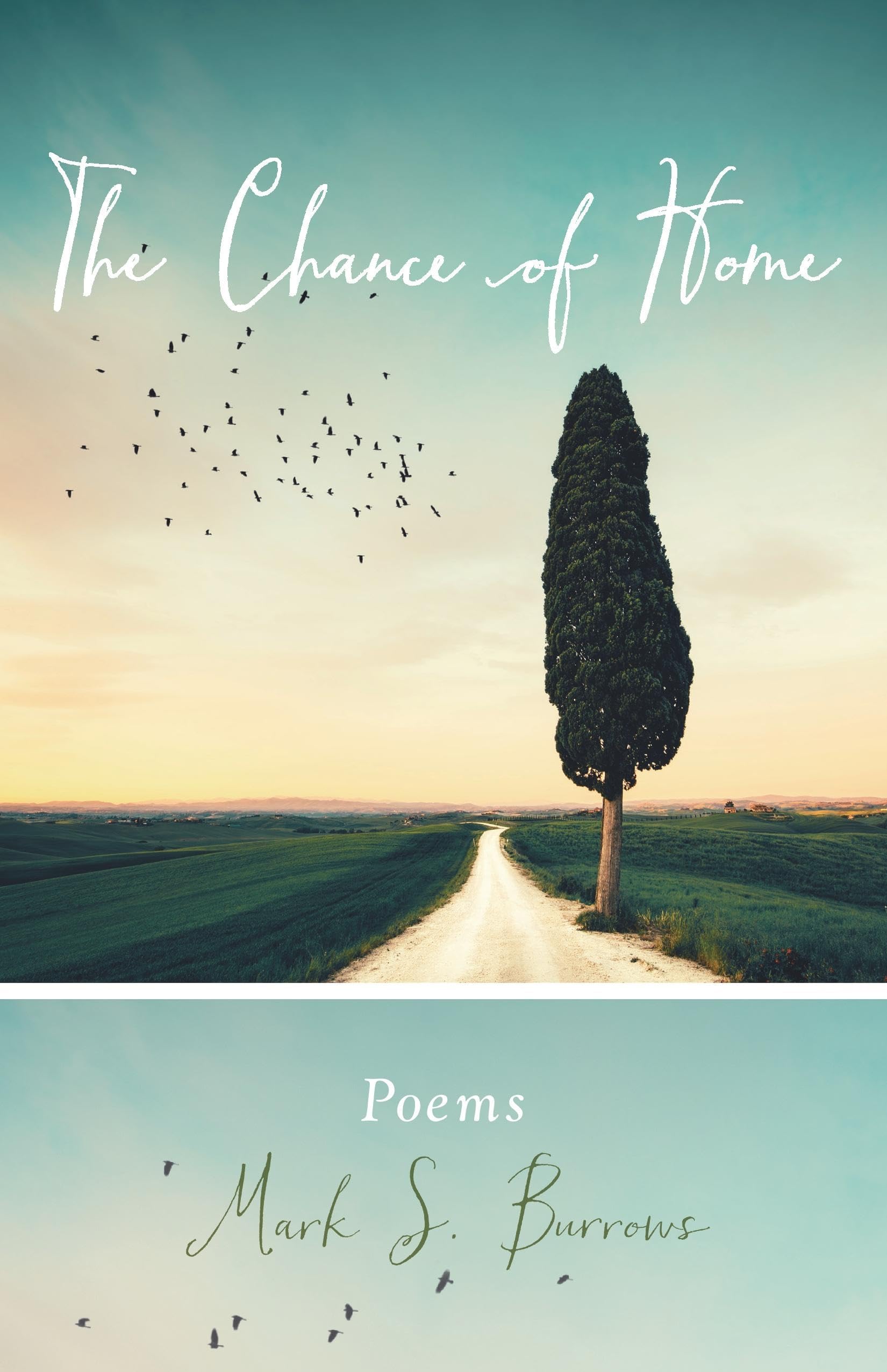 The Chance of Home: Poems (Paraclete Poetry)
