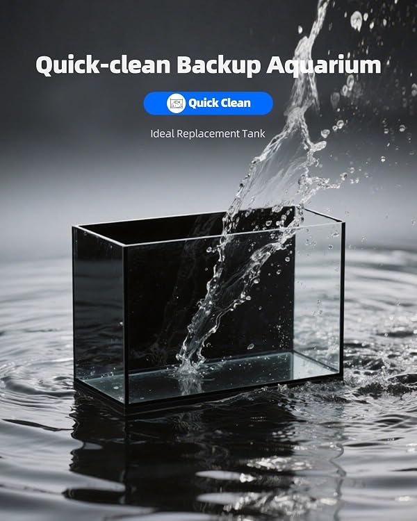 2.5 Gallon Clear Glass Fish Tank, Small Fish Tank Aquarium for Betta, Goldfish, Snail,Shrimp and Aquatic Planting by minilake - Image 8