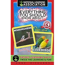 Everything You Should Know About Woodpeckers and Lovebirds