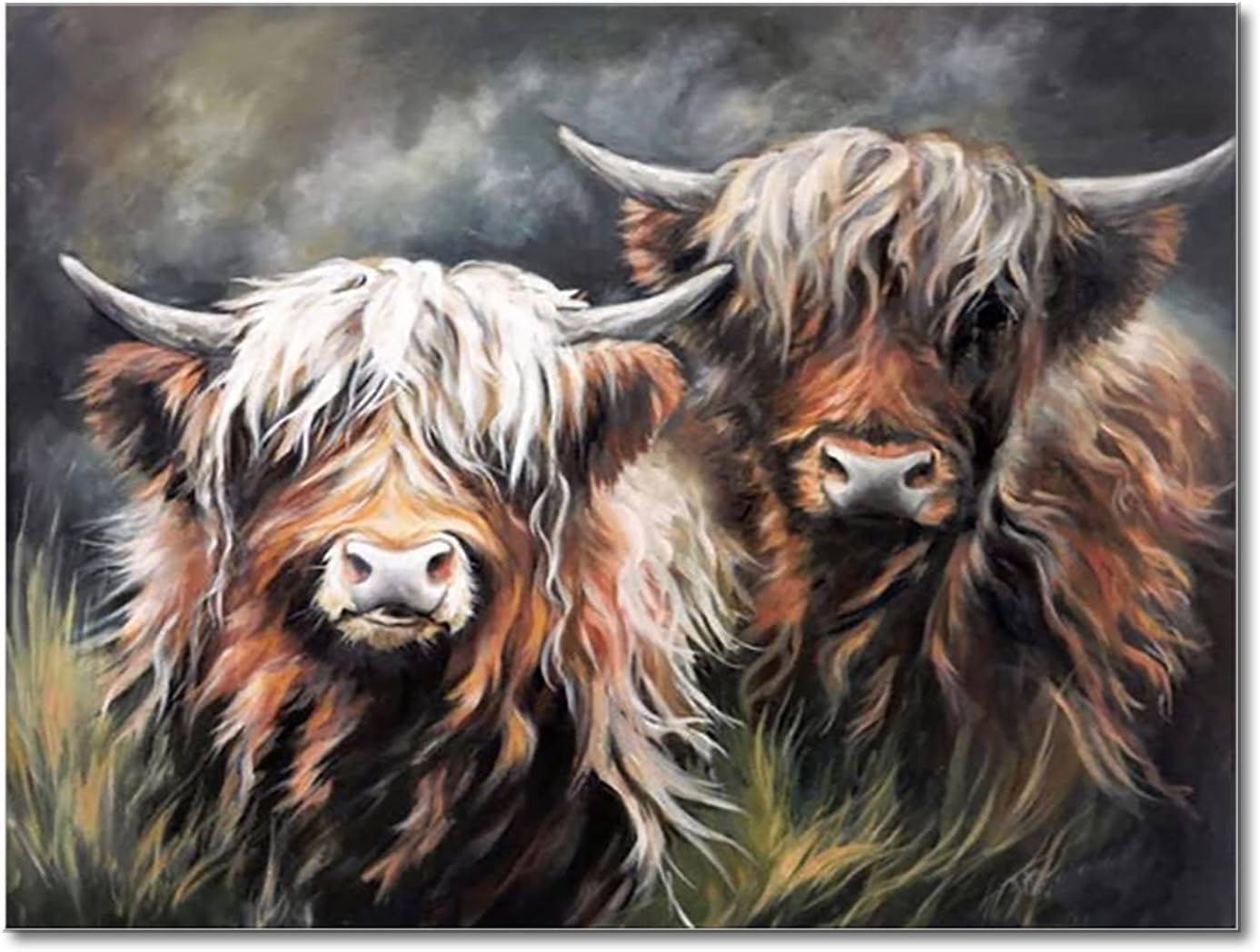 Shukqueen Highland Cow Paint by Numbers for Adults, Children, Beginner