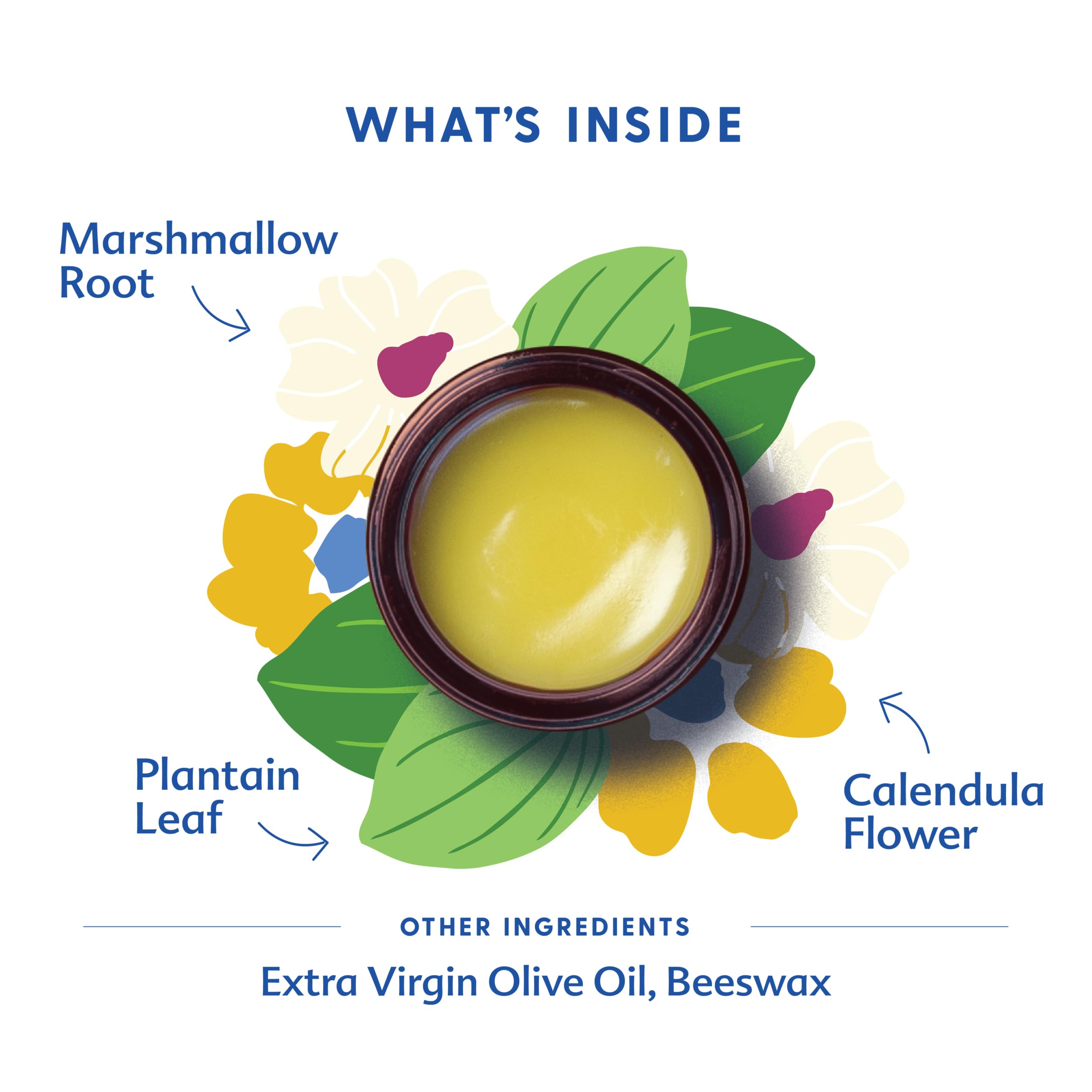 Motherlove Green Salve (1 oz) — Amazon image 3