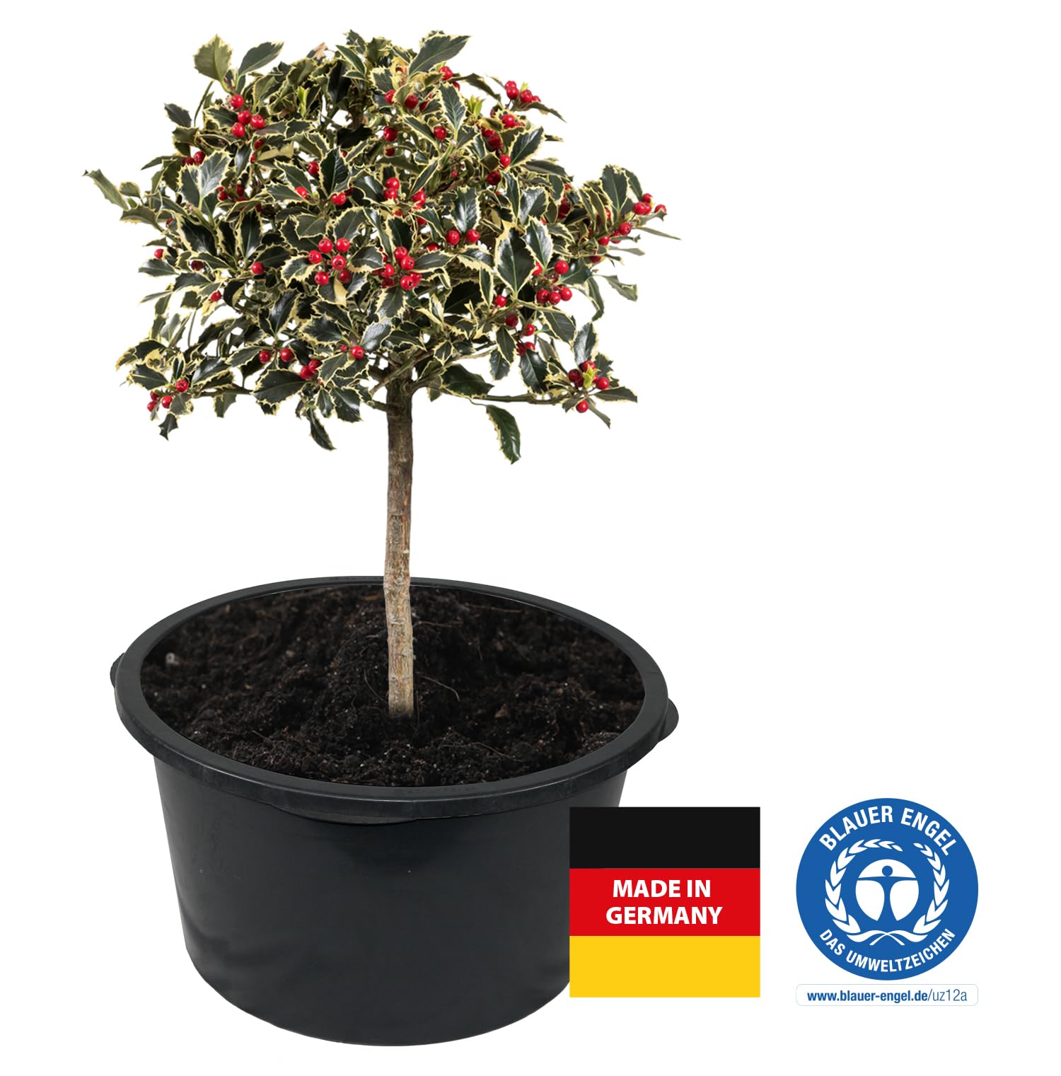 3 Stück Friesenthal Mörtelkübel, in 65L, Baukübel, Made in Germany - Blauer Engel