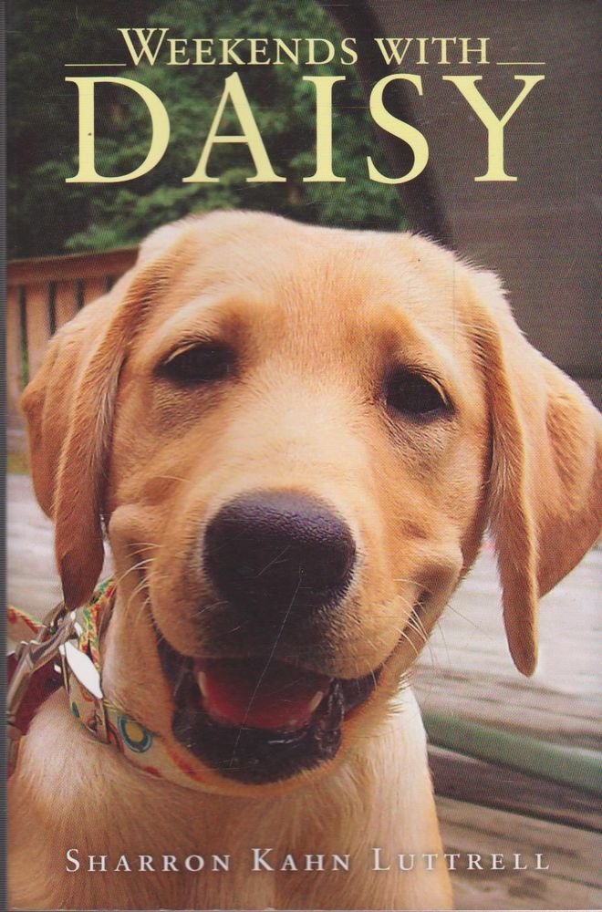 Weekends with Daisy: How a Very Special Puppy Changed My Life