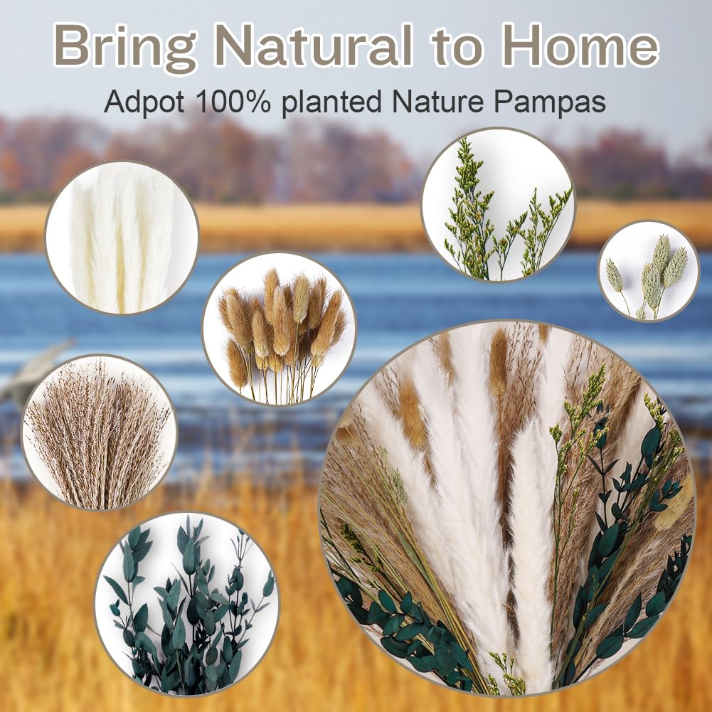 HOTUT Natural Pampas Grass Bouquet, 65 Stems Assorted Dried Flowers, 6 Different Flower Variants, Bunny Tails, Reed Grass - Image 3