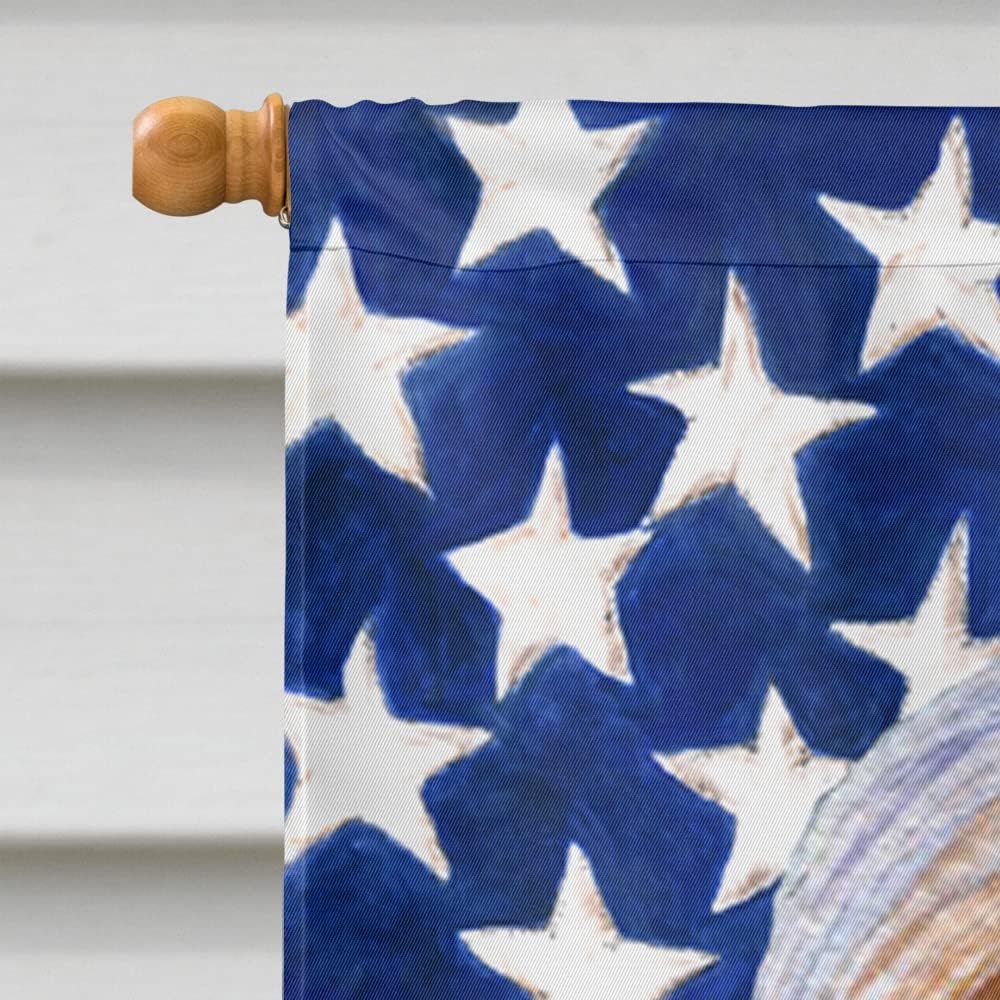 Caroline's Treasures SS4245CHF USA American Flag with Bearded Collie Flag Canvas, Large, Multicolor