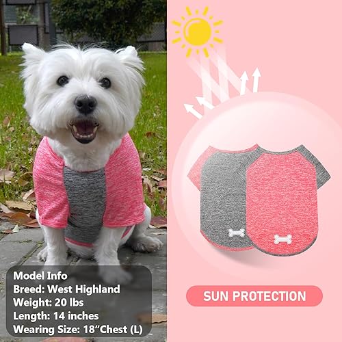 Miniatura 2 de KYEESE Paquete de 2 camisas para perro, manga raglán, de secado rápido, ligeras, elásticas, protegen contra las colas de zorro, camisetas para