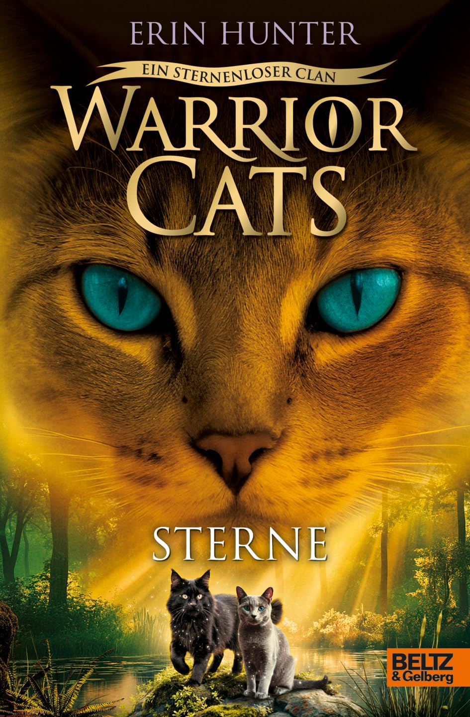 Warrior Cats - Ein sternenloser Clan. Sterne: Staffel VIII, Band 6