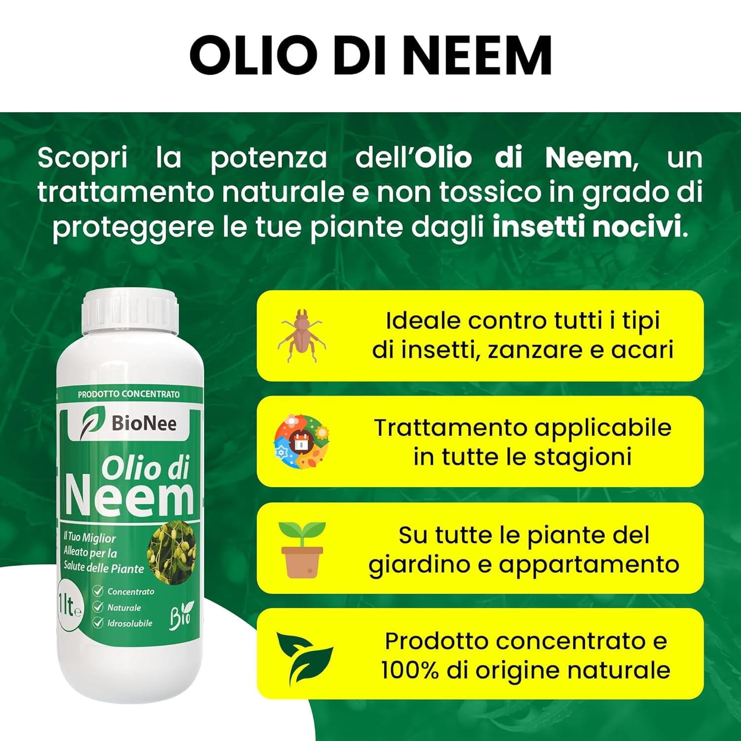 Olio di Neem insetticida naturale concentrato biologico solubile in acqua 1 litro