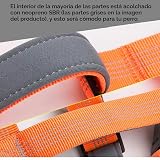 Ver la foto 8