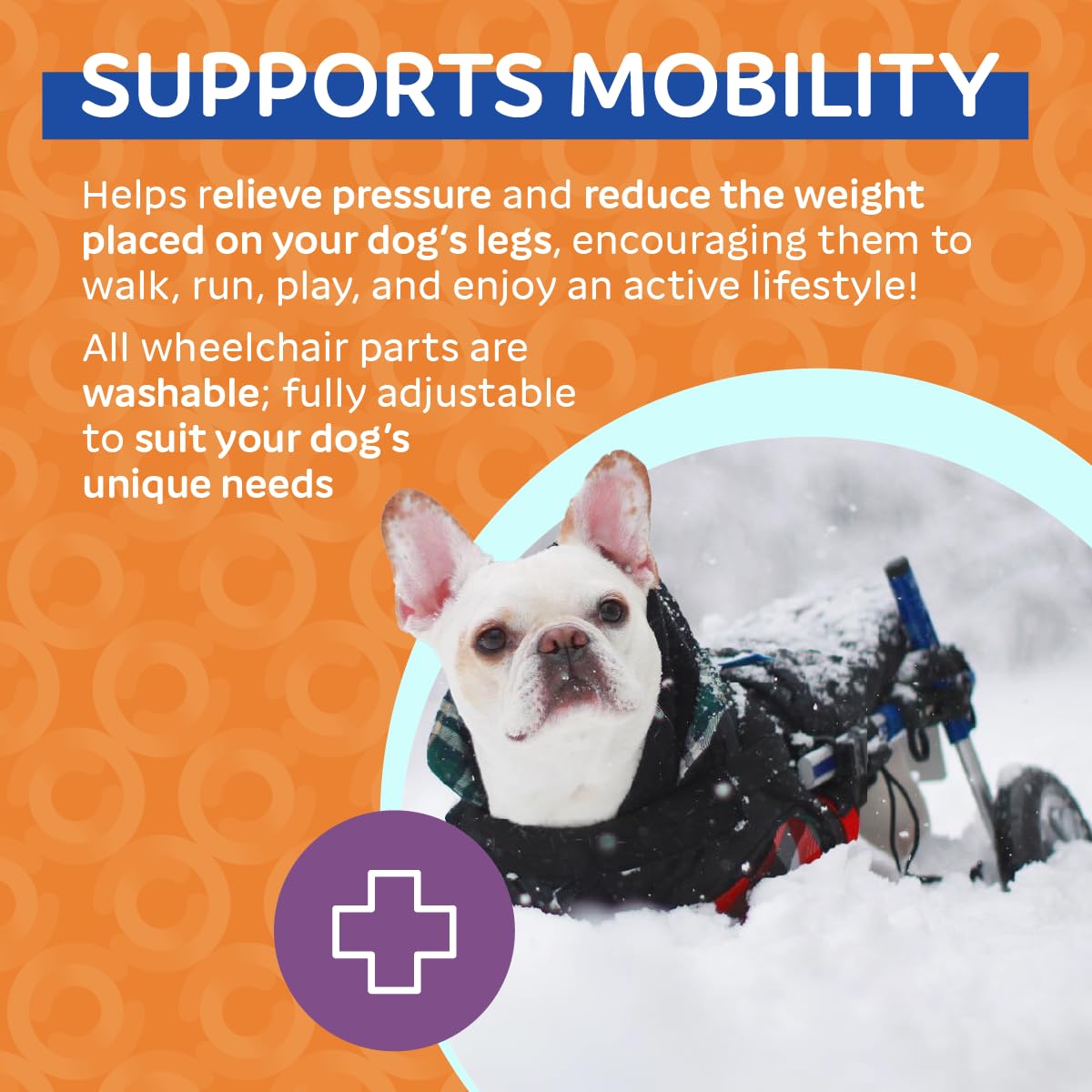 Dog Wheelchair - for Small Dogs 11-25 Pounds - Veterinarian