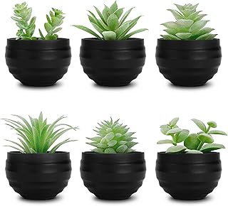 Der Rose Set of 6 Succulents Plants Artificial in Pots Small Fake Plants...