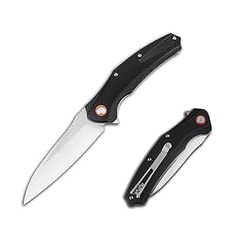 フォールディングナイフ 10丁出 61Y7N9dvvGL._AC_UL210_SR210,