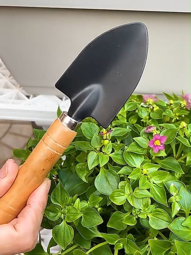 Set mini de herramientas para jardinería interior 3 piezas miniatura 7