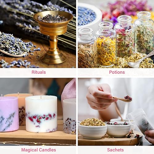 Miniatura 10 de Soulnioi Juego de 14 piedras curativas de cristales de chakra y piedras crudas con caja de madera de regalo para principiantes meditación reiki