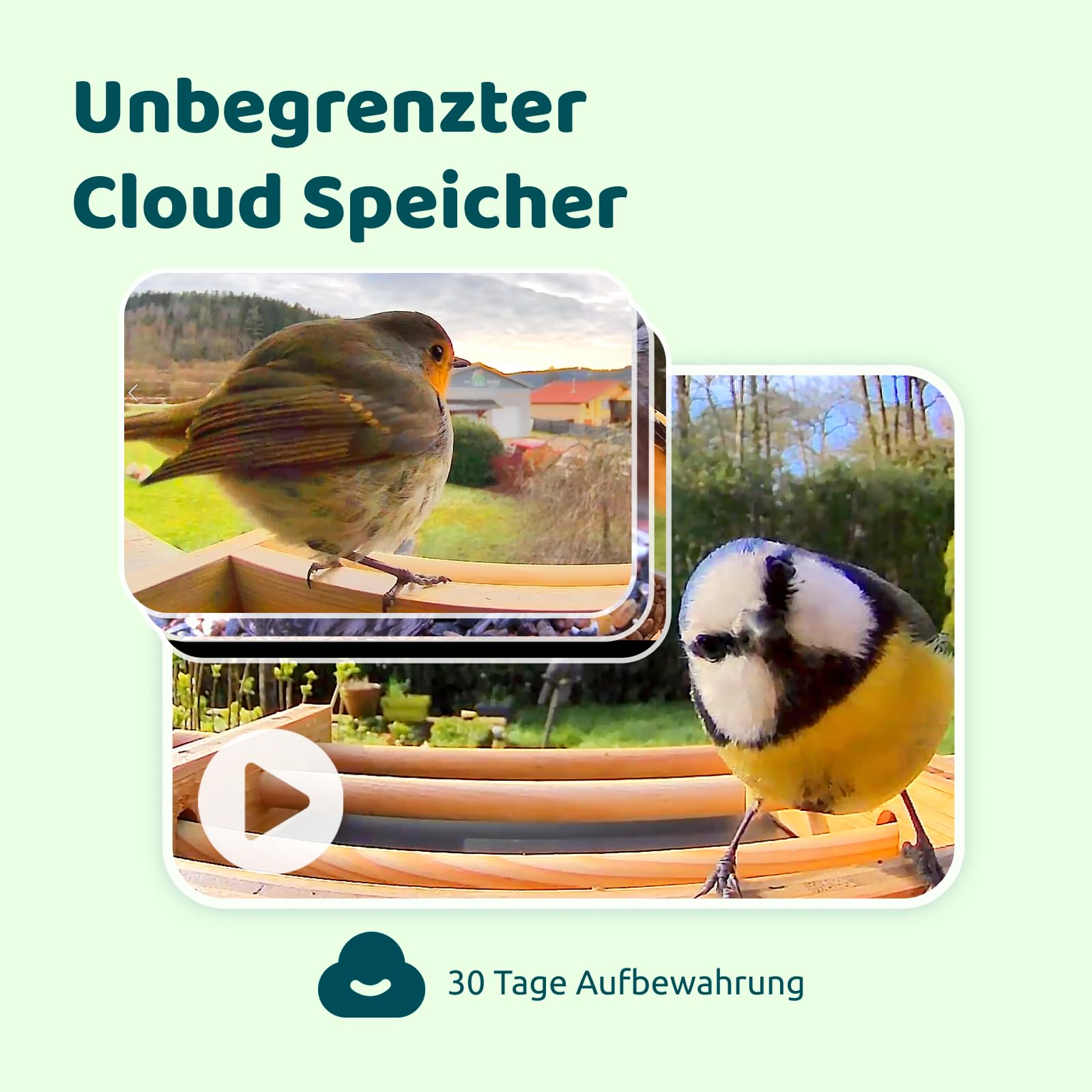 NETVUE by Birdfy Comedero Pajaros Exterior, Comederos para Pajaros con Camara, Bambú Ecológico/Renovable, Observación de Aves en Tiempo Real para App, Captura Automática, Notificación Instantánea