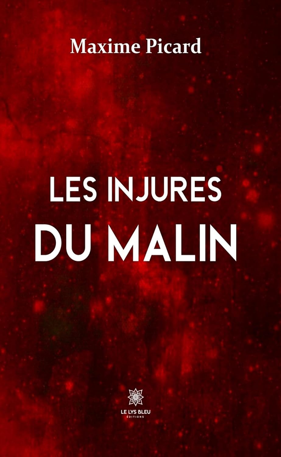 Les injures du malin (French Edition)