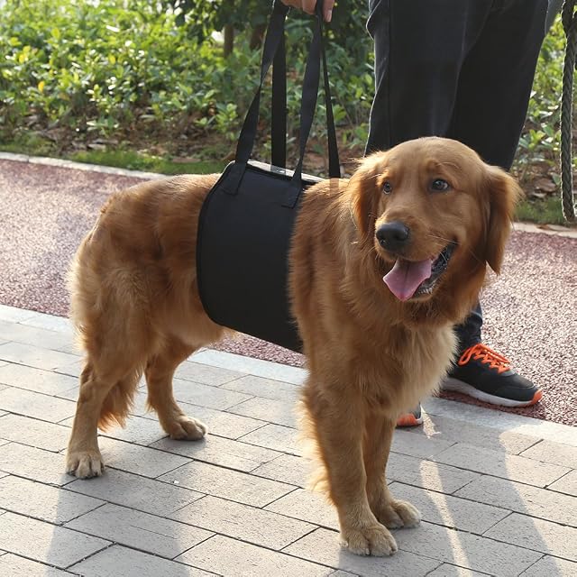 Foto 8 de 8 de Arnés Auxiliar de rehabilitación para Perros con asa para Ancianos y Mascotas enfermas (M)
