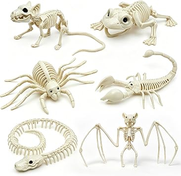 6PCS Halloween Animals Skeleton with Bendable Tails and Movable Jaws | Bat Frog Scorpion Spider Snake Rat Plastic Animal Skeletons for Halloween Party Haunted House Graveyard Scene Decoration