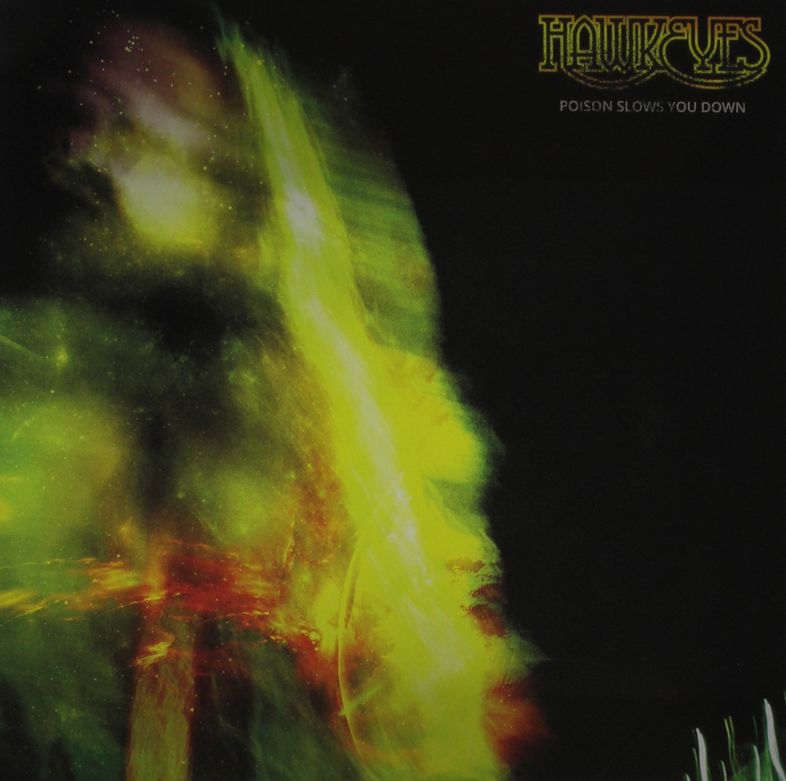 Poison Slows You Down [VINYL]