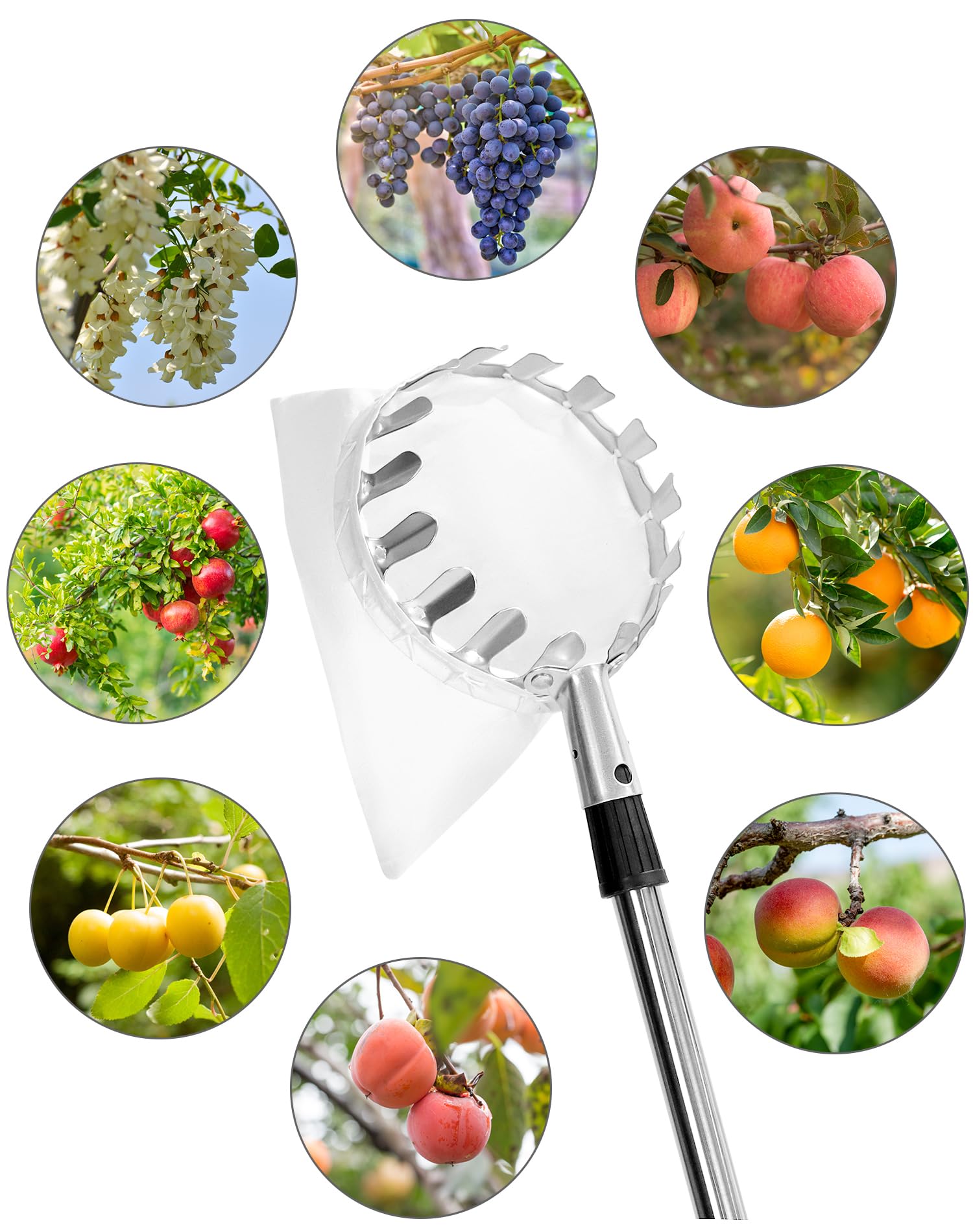 QWORK® Raccoglitrice di Frutta 4M con Manico telescopico, Acciaio Inossidabile, Strumento raccoglifrutta