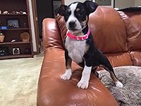 Review Image by MightyDwighty MightyDwighty