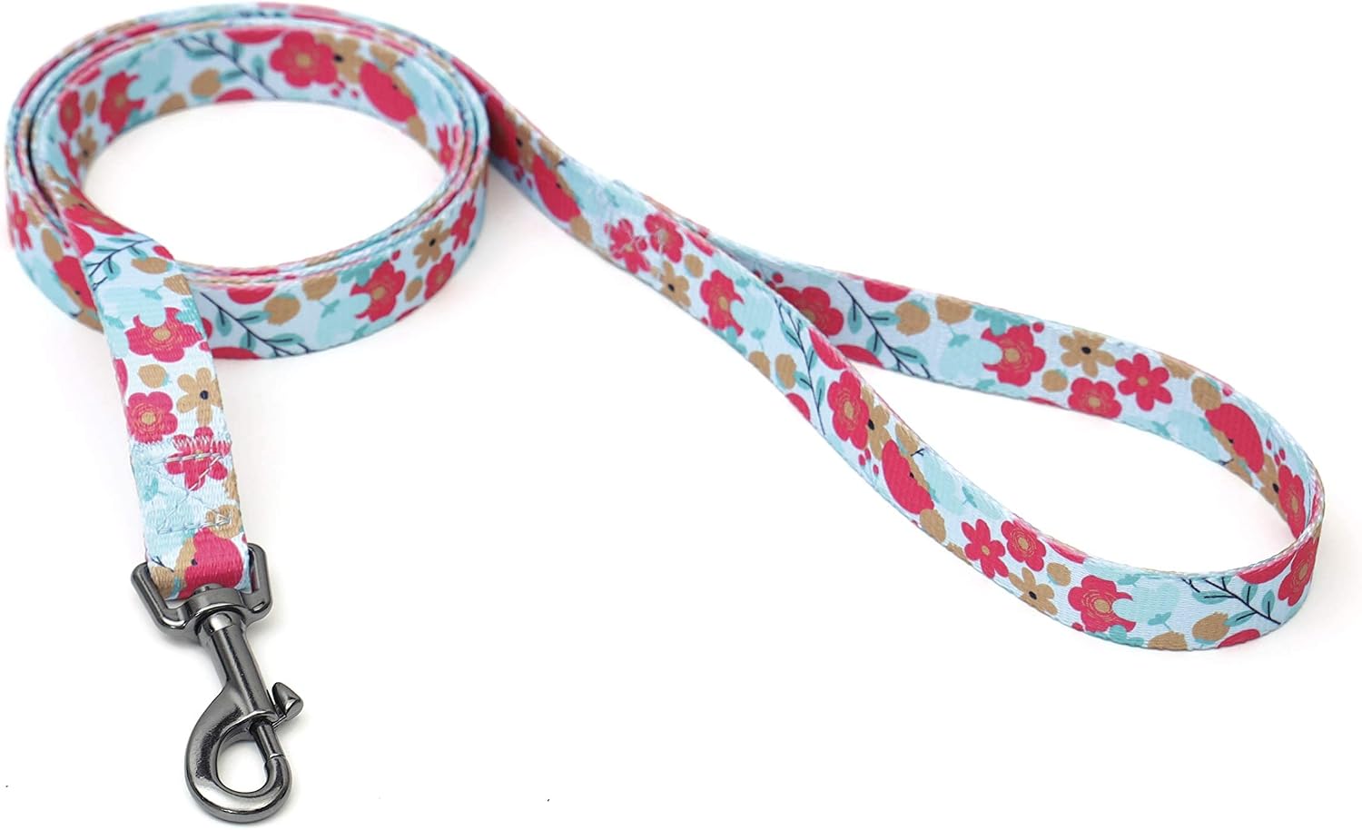 Keezeg 5FT Nylon Dog Leash with Easy to Use Bolt Snap for Training,Walking Lead for Large,Medium&Small Dogs- Available in Multiple…