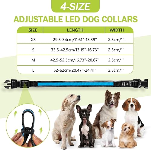Miniatura 5 de Collares de perro con luces LED brillantes, collares de perro iluminados para la noche, collar recargable con luz para perros pequeños (azul,