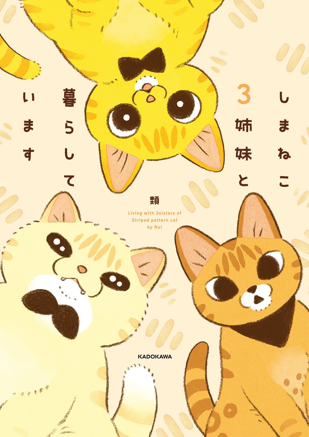 しまねこ☆いきなり購入NG☆ しまねこ☆いきなり購入NG☆ しまねこ☆いきなり購入NG☆ しまねこ