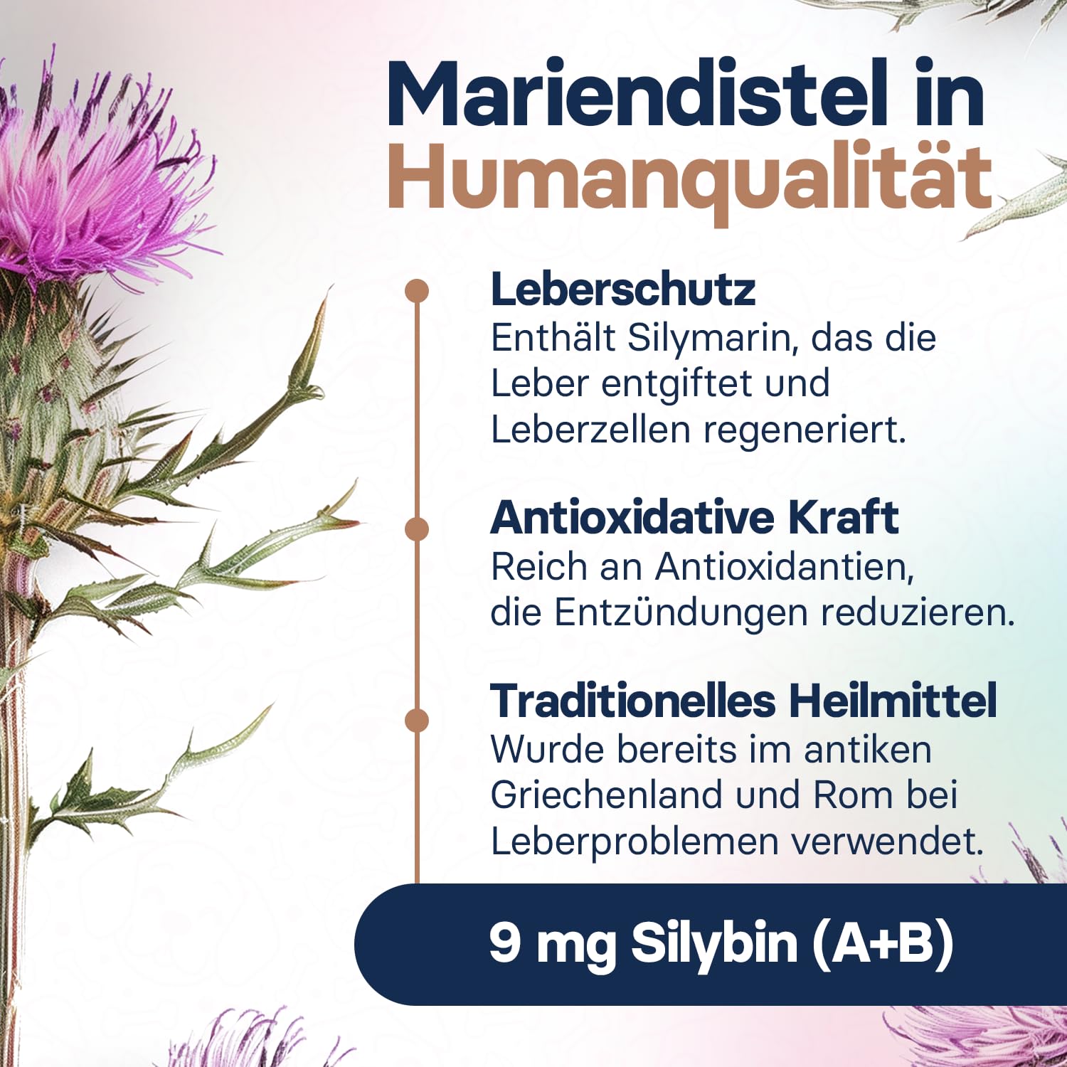 Lebergesundheits-Supplement für Katzen – Mariendistel Supplement für die Leber-Detox – Katzen-Supplemente mit S-Adenosylmethionin (Same) und Silybin – 30 Tabletten