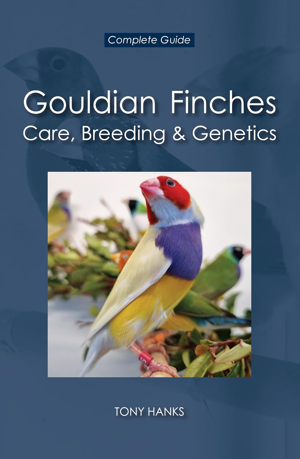Gouldian Finches - Care, Breeding & Genetics: Complete Guide      [Print Replica] Kindle Edition
