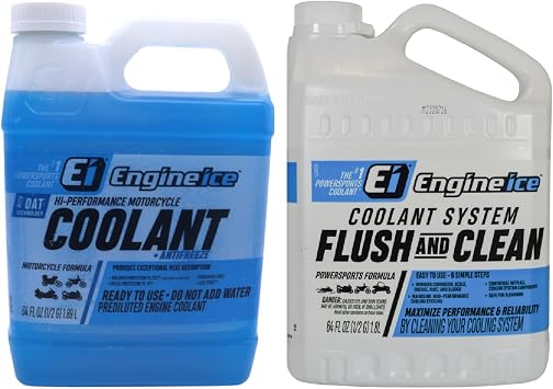 Engine Ice Flush and Clean and Motorcycle Combo Kit, 2 Pack, Purple